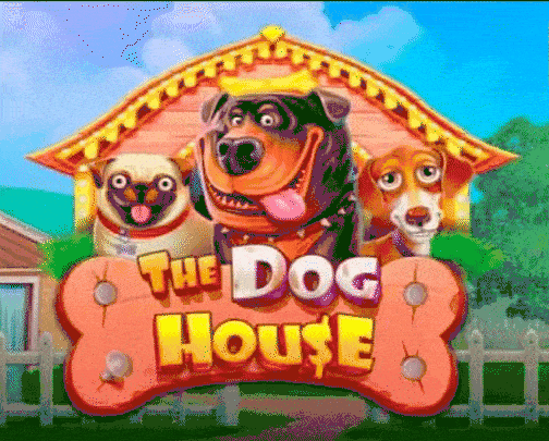 play The Dog House in spinboss casino